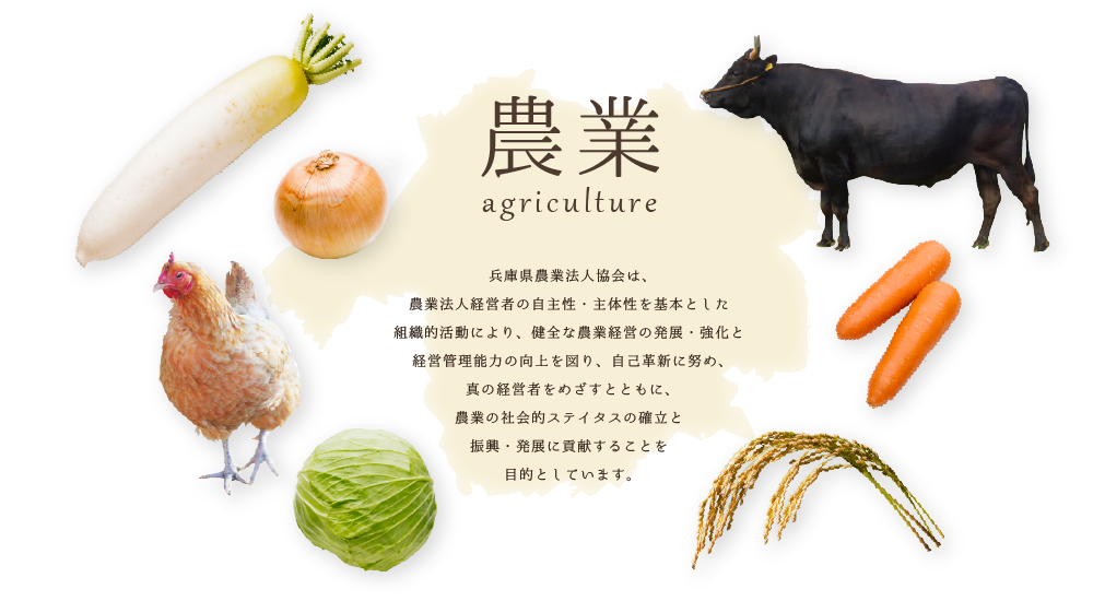 兵庫県農業法人協会は、農業法人経営者の自主性・主体性を基本とした組織的活動により、健全な農業経営の発展・強化と経営管理能力の向上を図り、自己革新に努め、真の経営者をめざすとともに、農業の社会的ステイタスの確立と振興・発展に貢献することを目的としています。